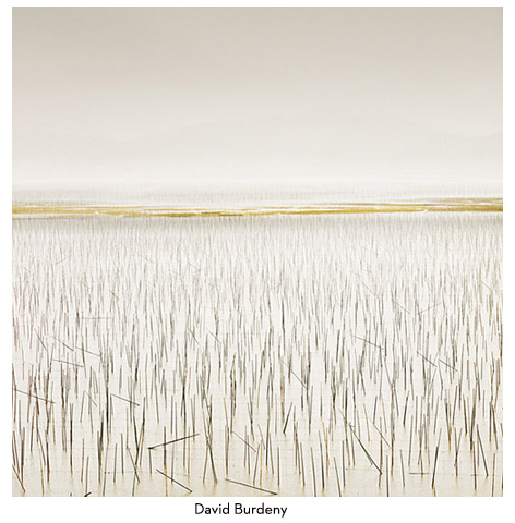 David Burdeny