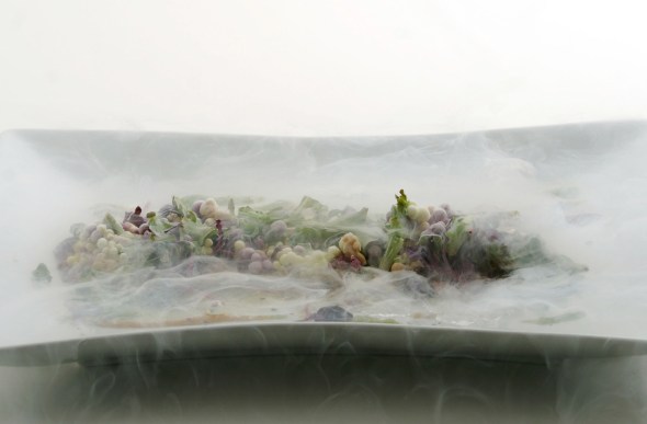 Photo by © Jorge Parra