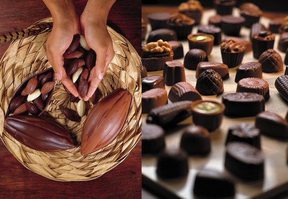 Photo by © Jorge Parra